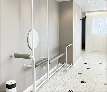 写真：ライオン株式会社