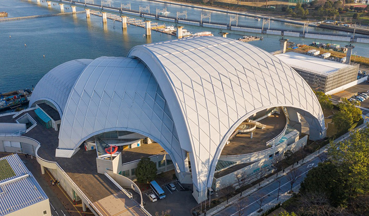 Tokyo Tatsumi Ice Arena 