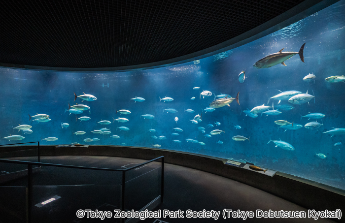 Tokyo Sea Life Park