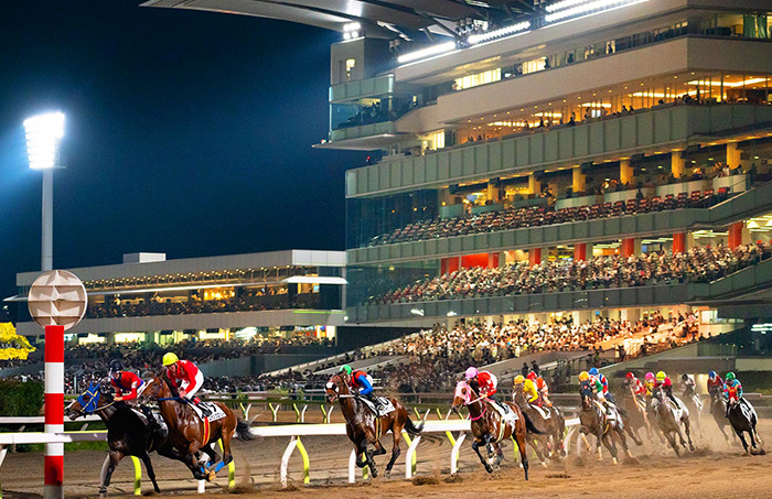 Tokyo City Keiba (horse race)