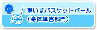 車椅子バスケットボール（身体障害部門）