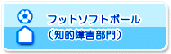 フットソフトボール（知的障害部門）