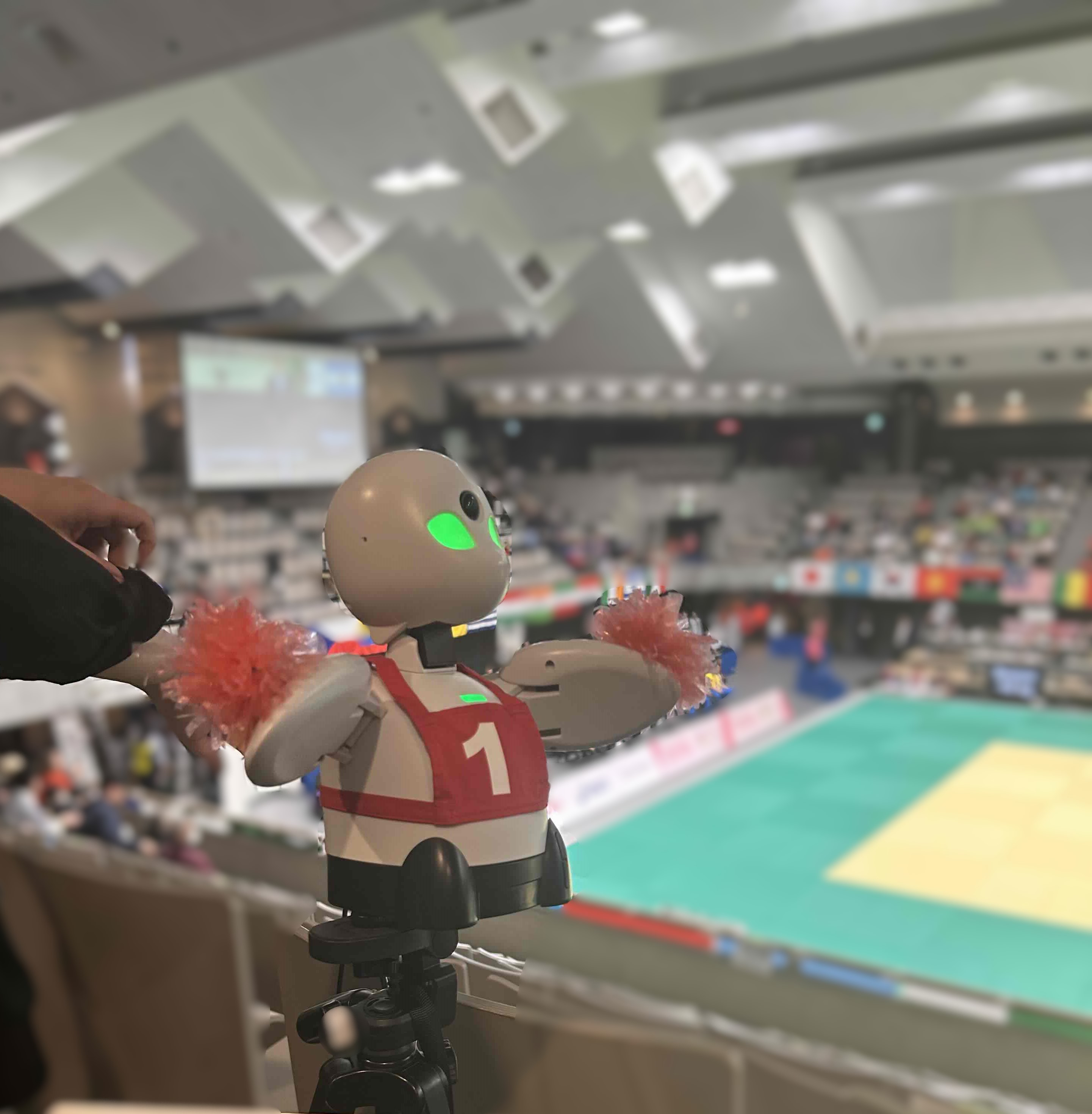 東京武道館での観戦の様子