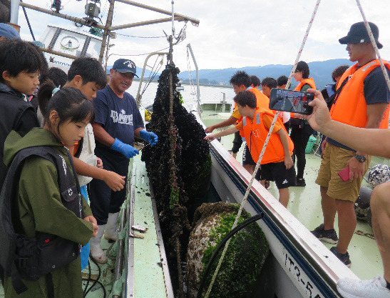 遊漁船での見学