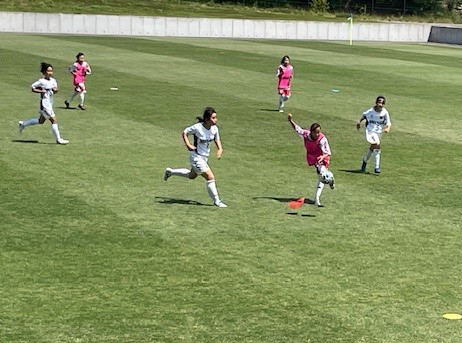 交流試合の様子（東京都対宮城県）